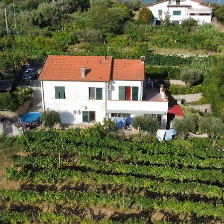In Vino Veritas 아르콜라 외부 사진