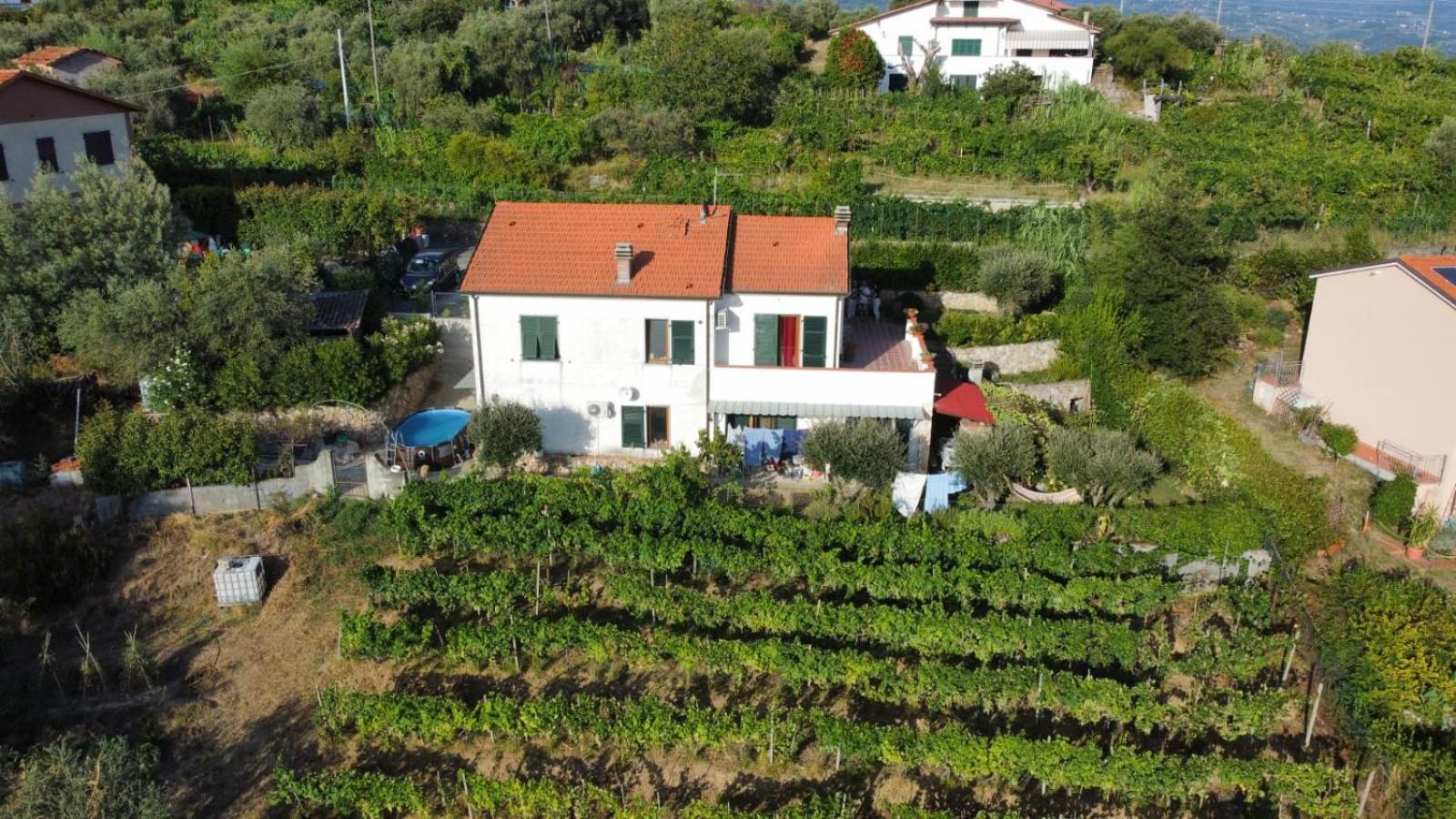In Vino Veritas 아르콜라 외부 사진